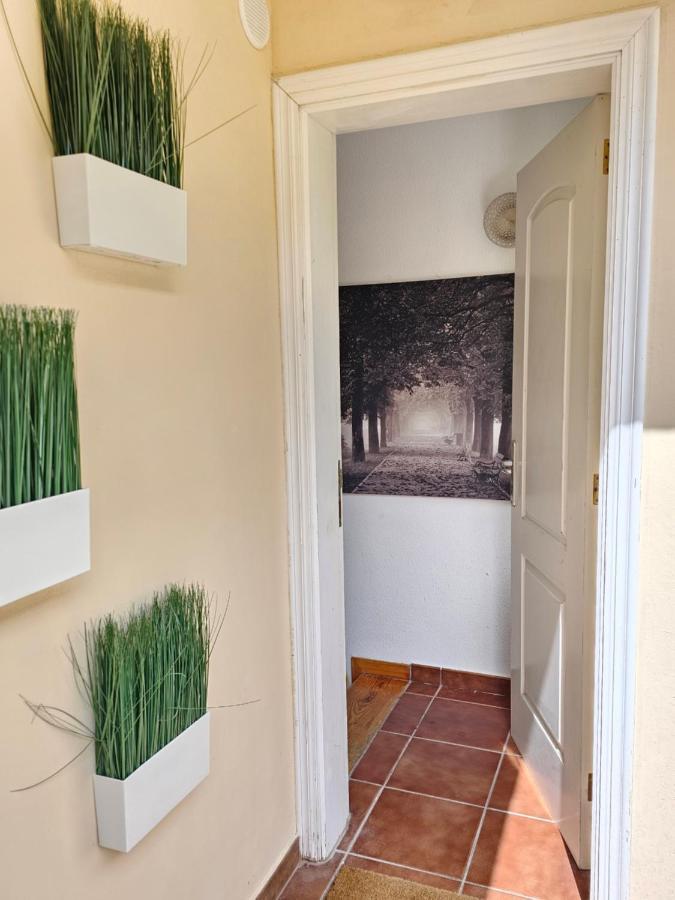 New Holiday Home Beautiful Sea View With Aircon, Costa Adeje Costa Adeje  Buitenkant foto