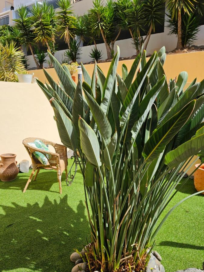 New Holiday Home Beautiful Sea View With Aircon, Costa Adeje Costa Adeje  Buitenkant foto